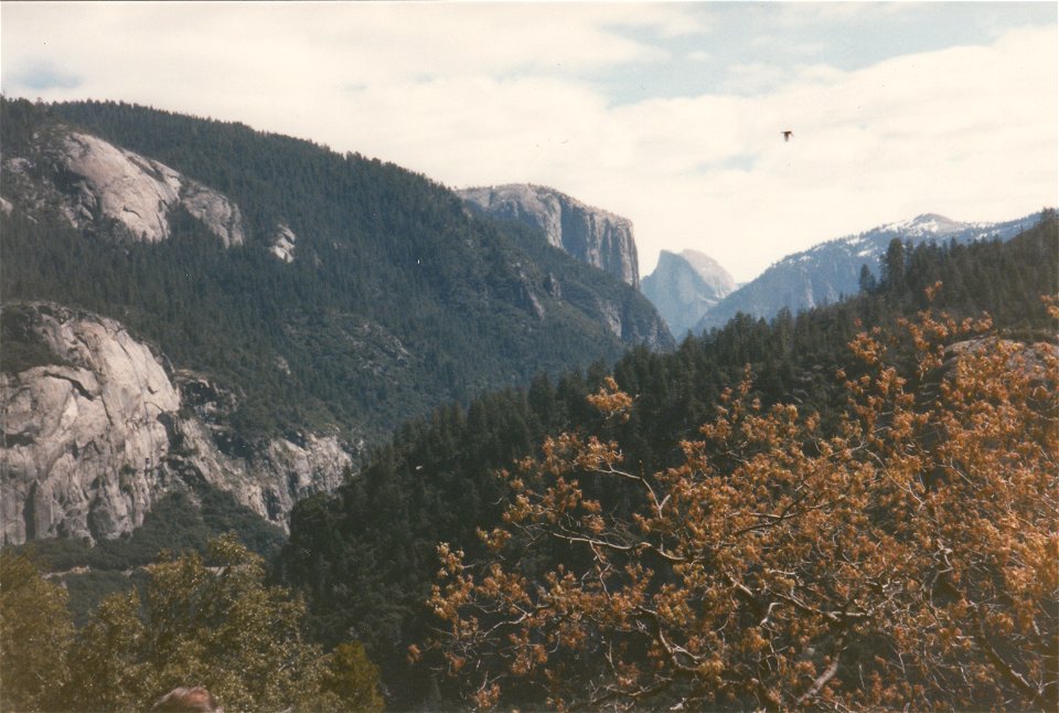 HAYES-YOSEMITE-PART OF EL CAPITAN AND HALF DOME VISIBLE IN THE DISTANCE