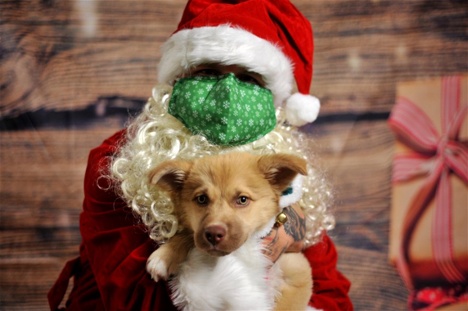 City of Elderly Love Claus for Paws Fundraiser