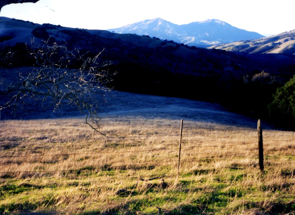 HAYES-M.T.-MT DIABLO FROM MORGAN TERRITORY