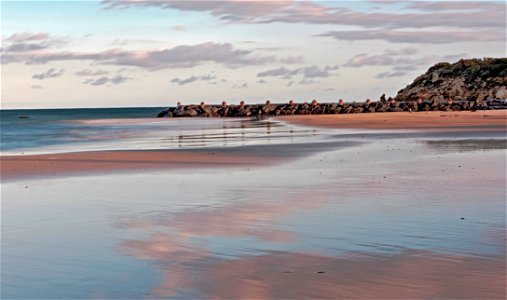 Low tide, late afternoon