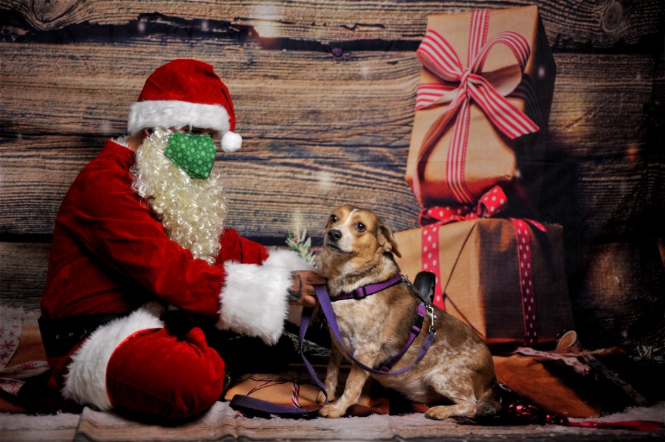 City of Elderly Love Claus for Paws Fundraiser