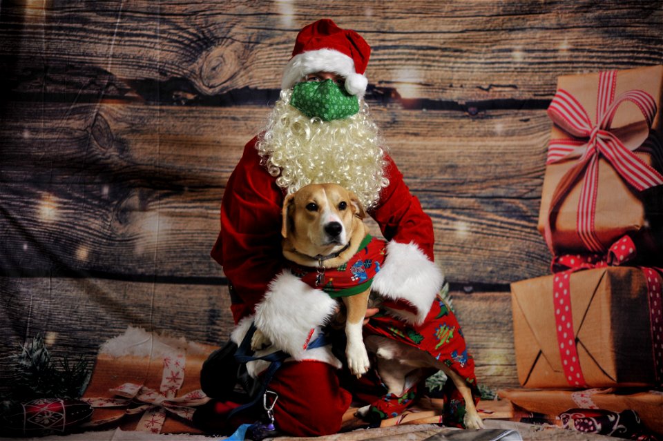 City of Elderly Love Claus for Paws Fundraiser