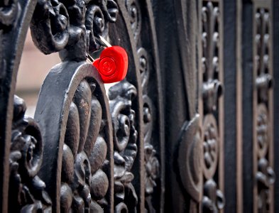 Из Петербурга, с любовью (From Saint-Petersburg, with love)