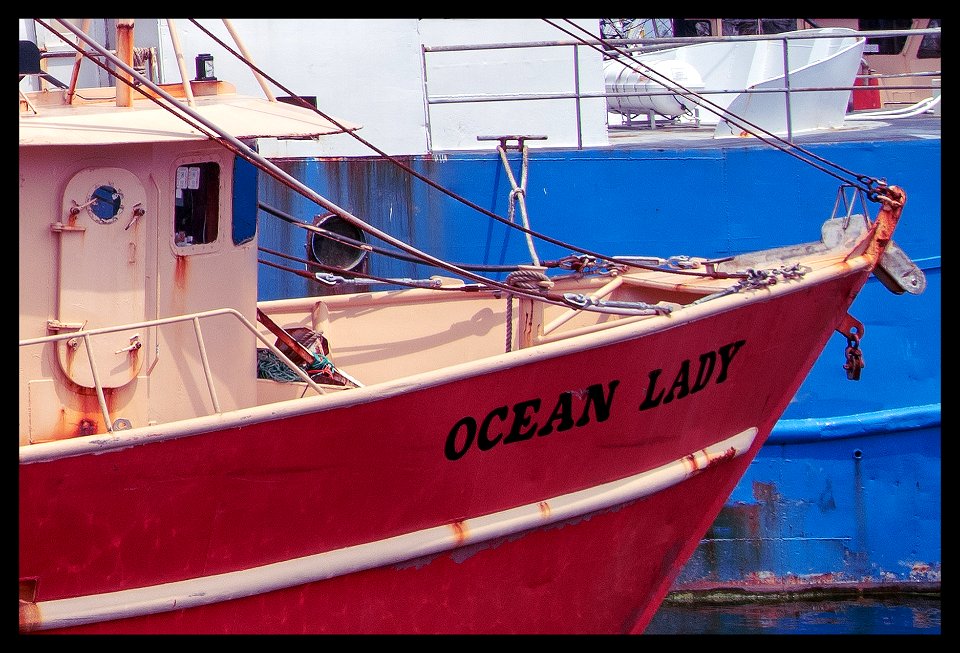 new bedford harbor