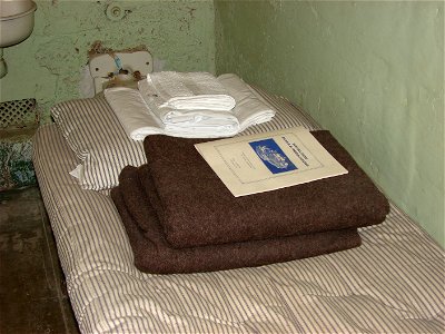 DSC02941