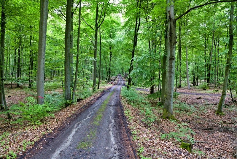 SAC Kleine Schorfheide - Havel 02