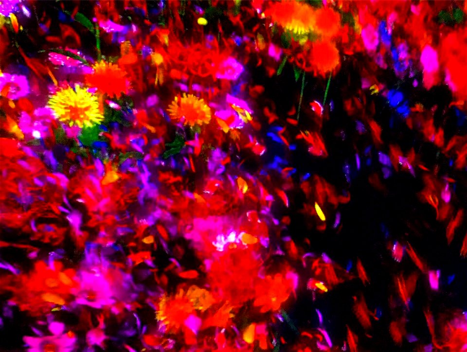 チームラボボーダレス お台場 teamLab Borderless
