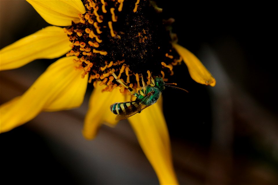 20210617-IMG_3727
