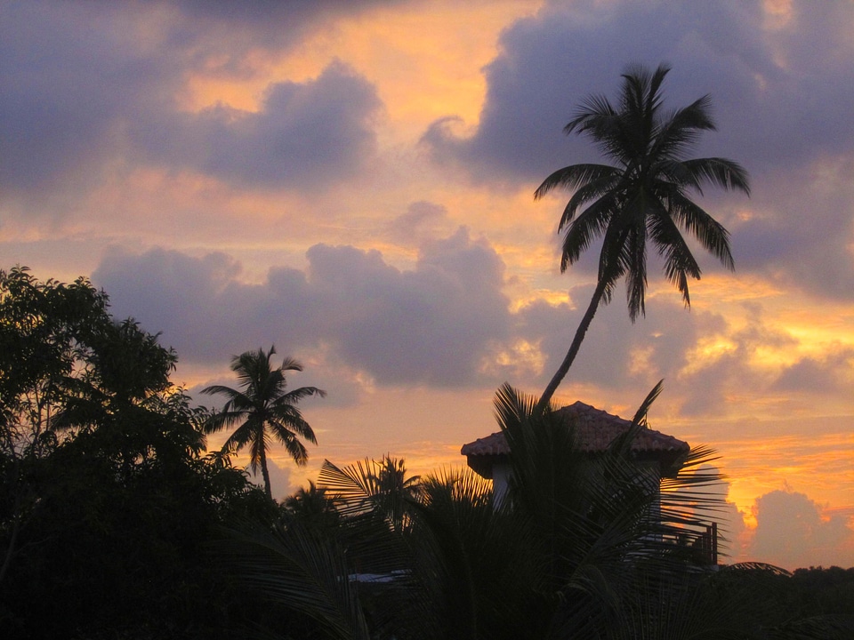 Beach tropics vacations