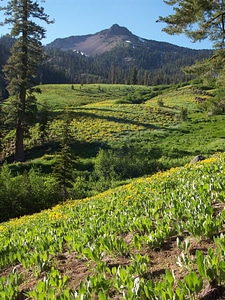 Mill Creek Falls Trail photo