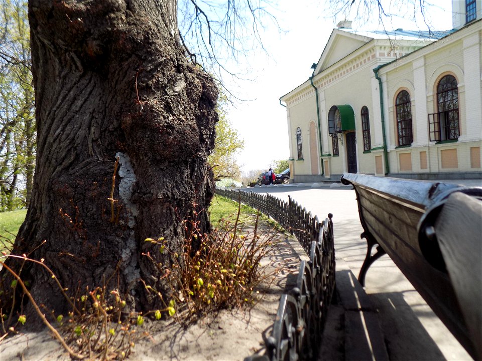 Hryshko National Botanical Garden