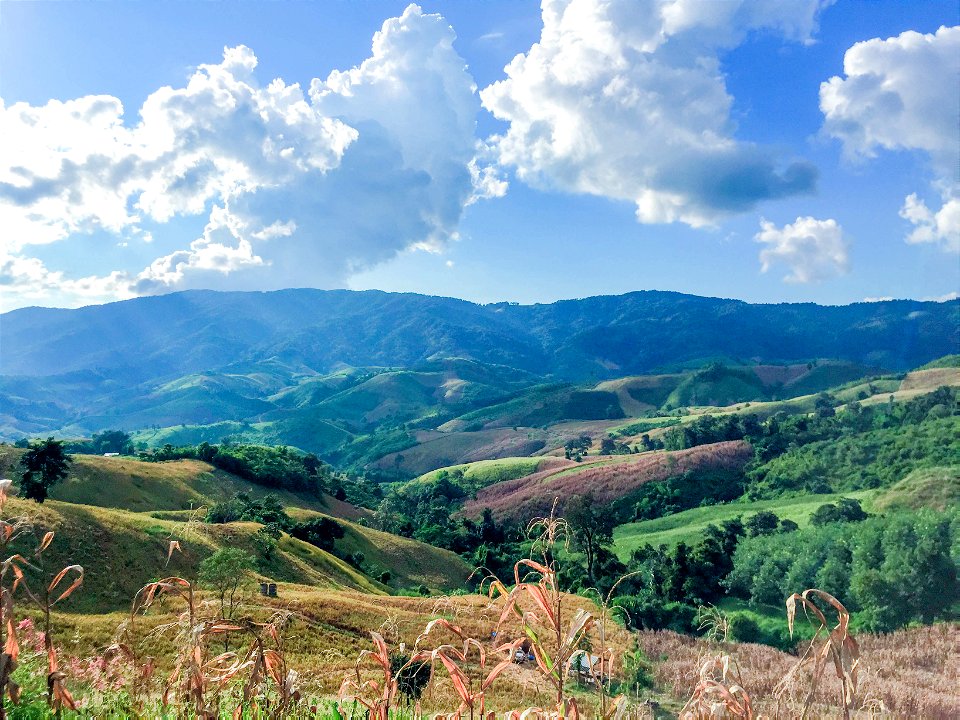 mountain