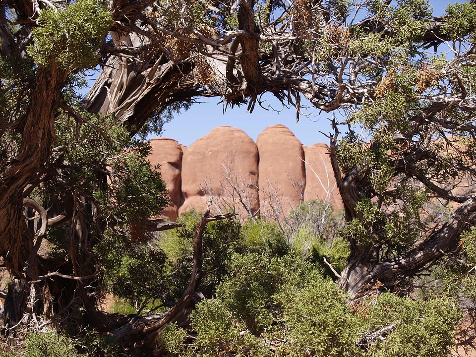 Red Rocks Arches National Park Arizona