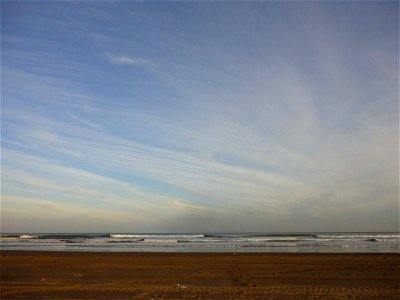 DSC00042 (Copiar)