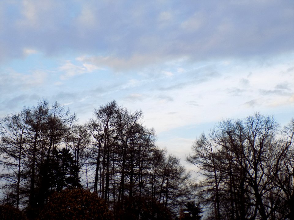 Hryshko National Botanical Garden