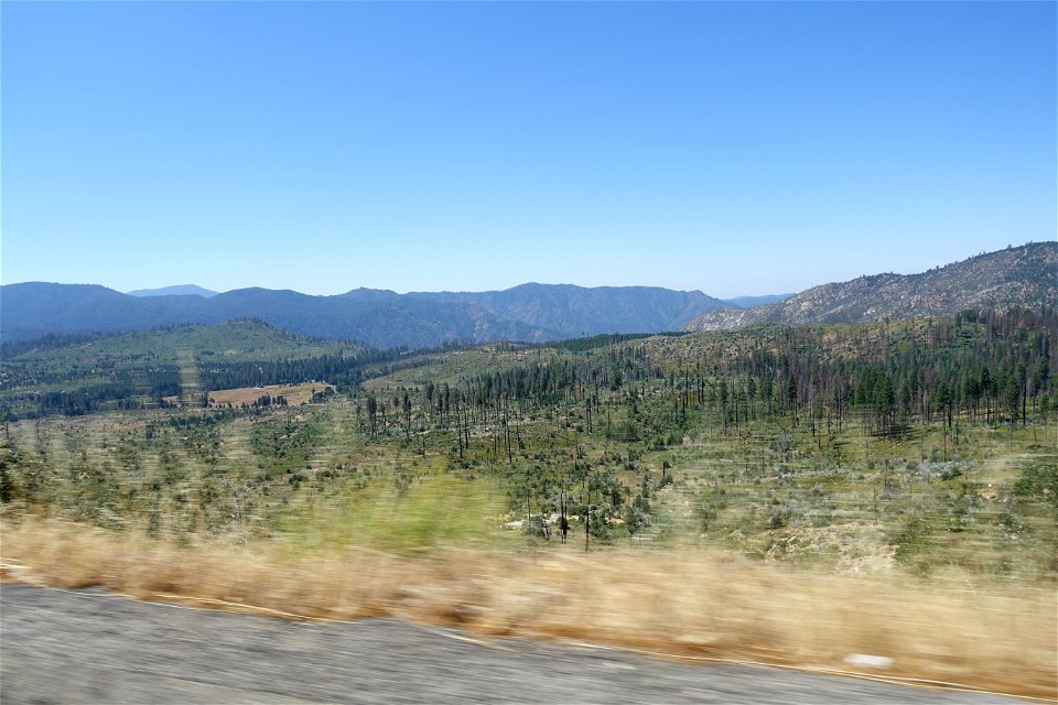 DSC00189
