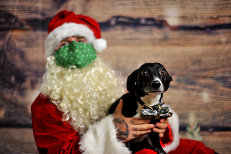 City of Elderly Love Claus for Paws Fundraiser