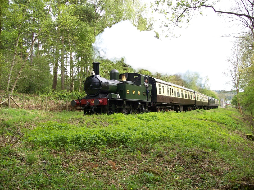 The old train is railing through forest