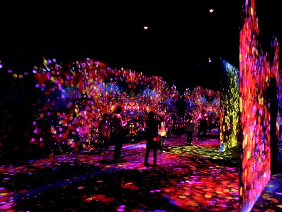 チームラボボーダレス お台場 teamLab Borderless
