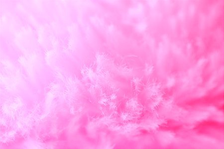 Cute Aesthetic Fluffy Pink Fur Wallpaper Texture 2021