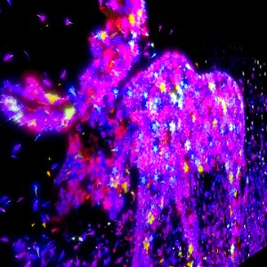 teamLab