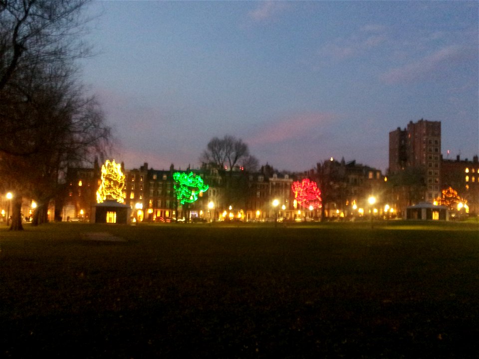 Lit Trees in Boston Common