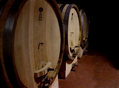 Botti in legno | Lorenzo Fidora