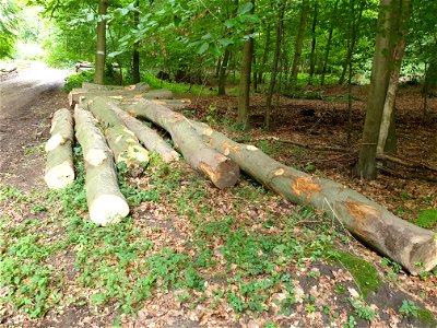 20200822_174448