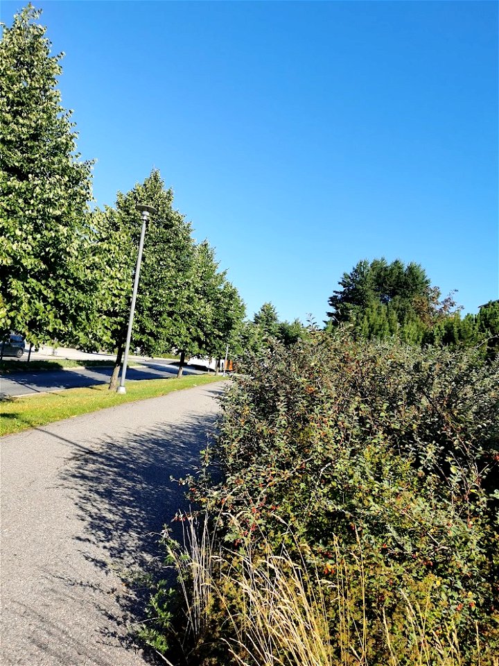 IMG_20210813_090905