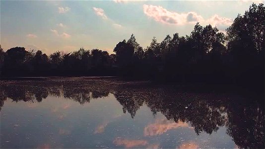 Il Laghetto | Lorenzo Fidora Tenuta Civranetta Cona
