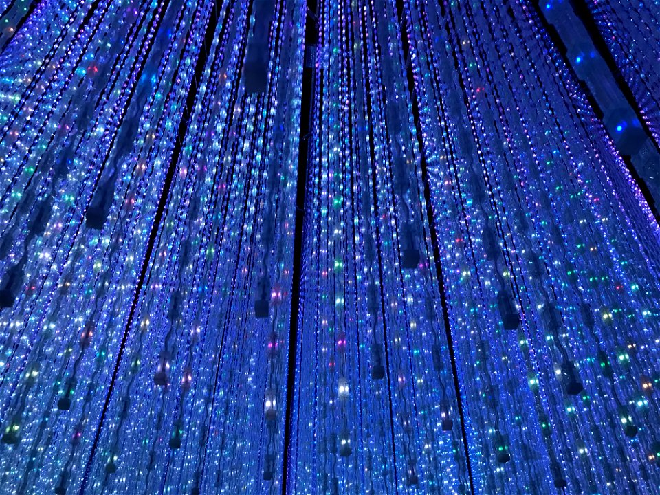 teamLab Borderless