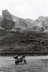 Eté  COL 2022-22