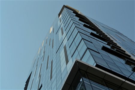 The Tower