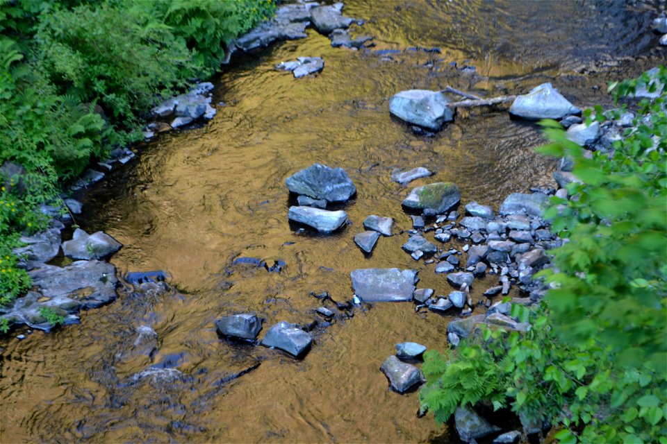 Rocks on the Stream