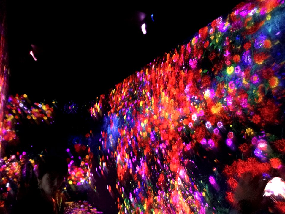 teamLab