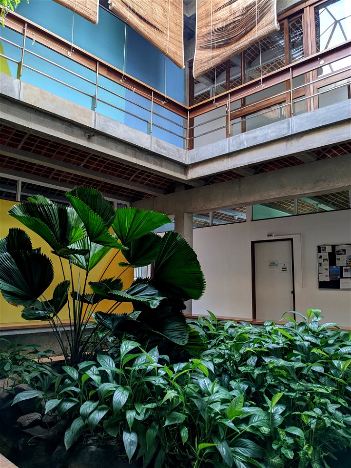 Inside Sante, the health clinic in Auroville. Much greenery here too!