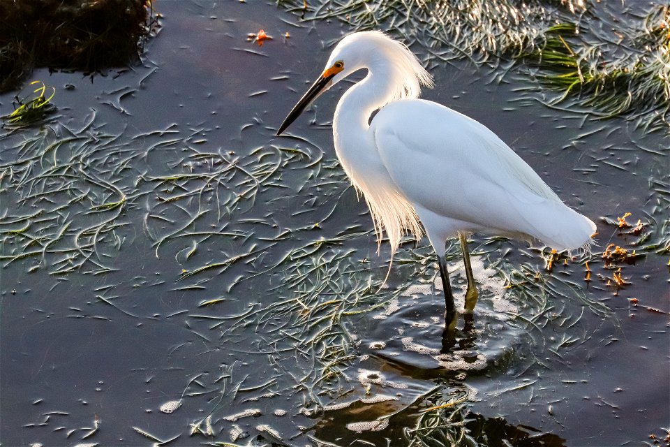 20210212-IMG_0468
