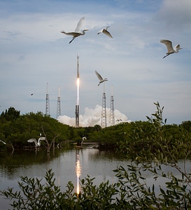 Taking Flight at Cape Canaveral photo