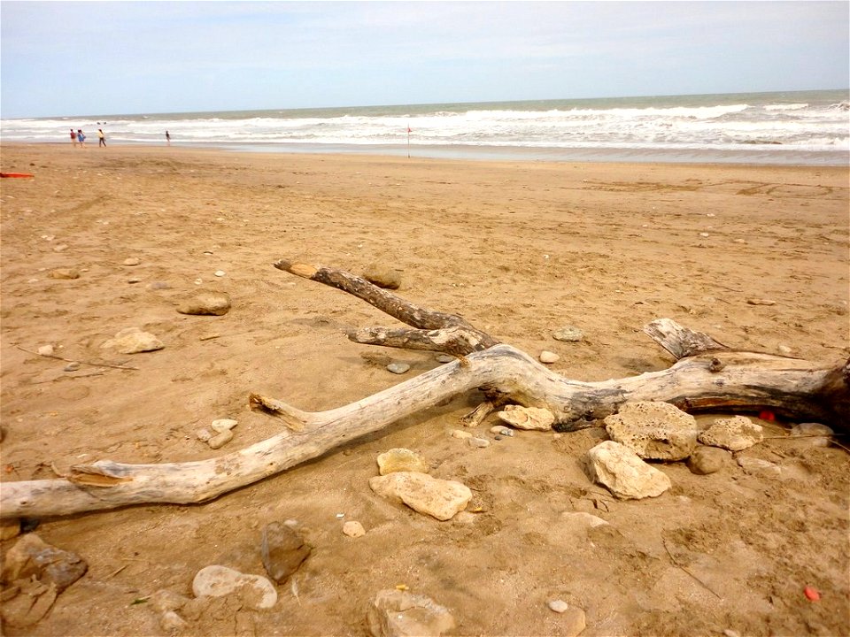 DSC01772 (Copiar)