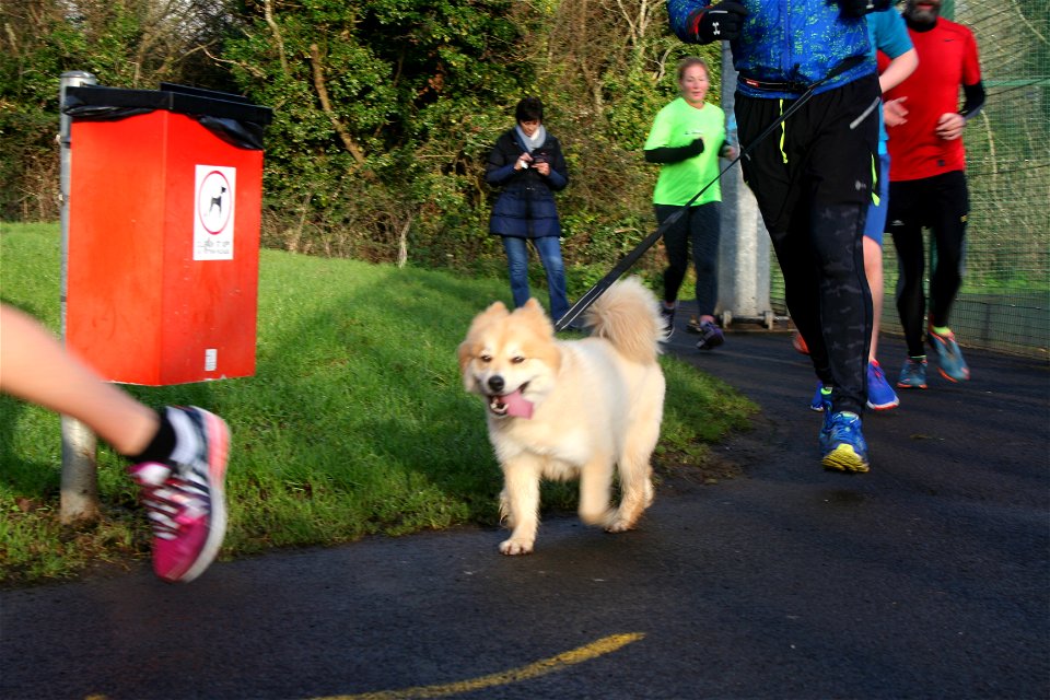 parkrun #190 11th Nov '17