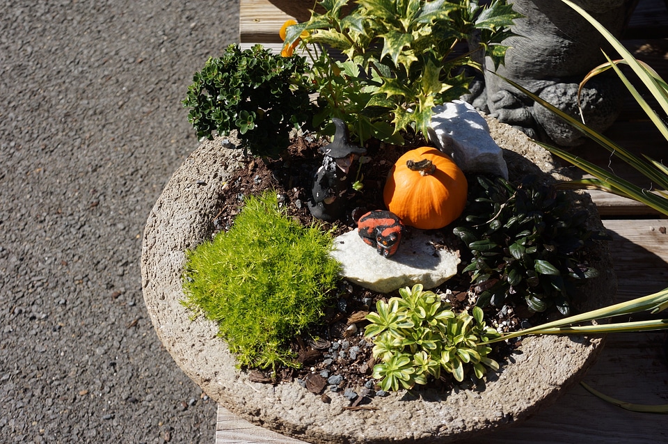 Halloween scarecrow and Pumpkin