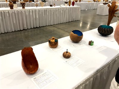 AAW 2022 Woodturners Symposium