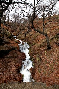 20100308_Canar_0001.jpg