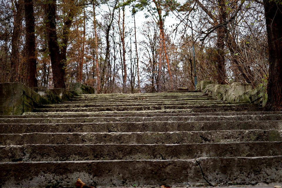 Steps
