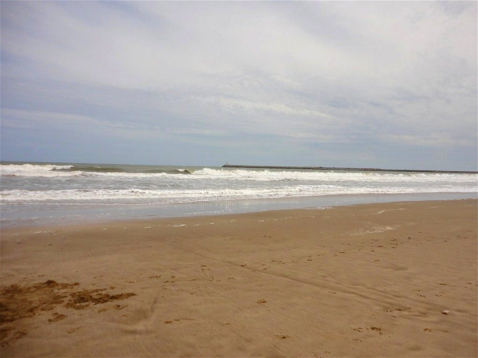 DSC01755 (Copiar)