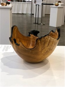AAW 2022 Woodturners Symposium