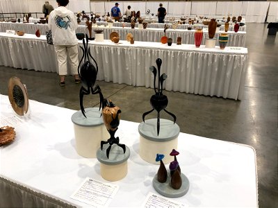 AAW 2022 Woodturners Symposium