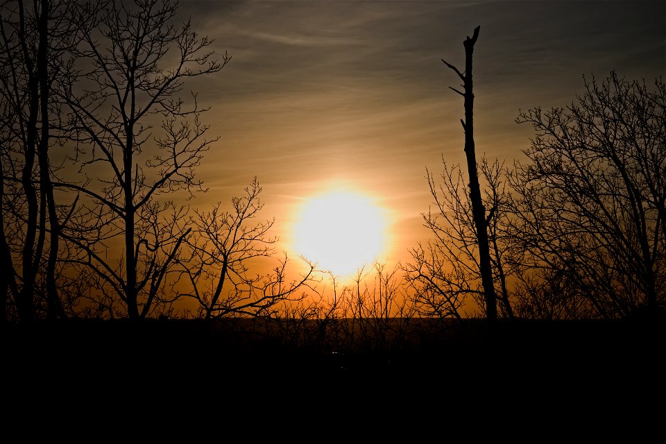 Sunset at Dumitru Rascanu Park