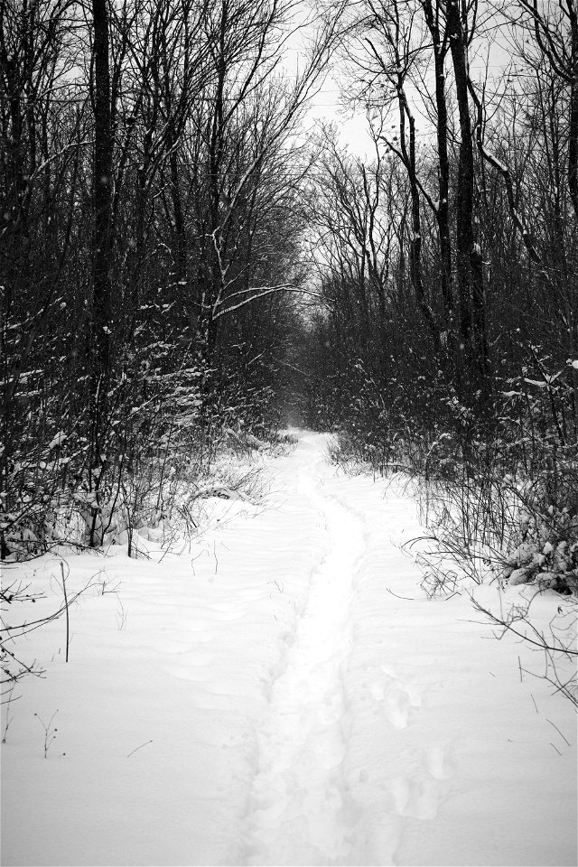 Winter