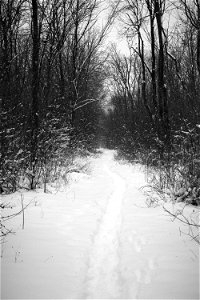 Winter